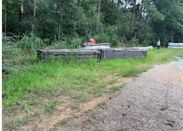 74 Lake Hillsdale Rd, Lumberton, MS 39455 - photo 5