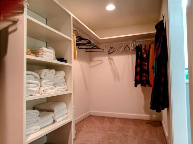 walk in closet featuring carpet flooring