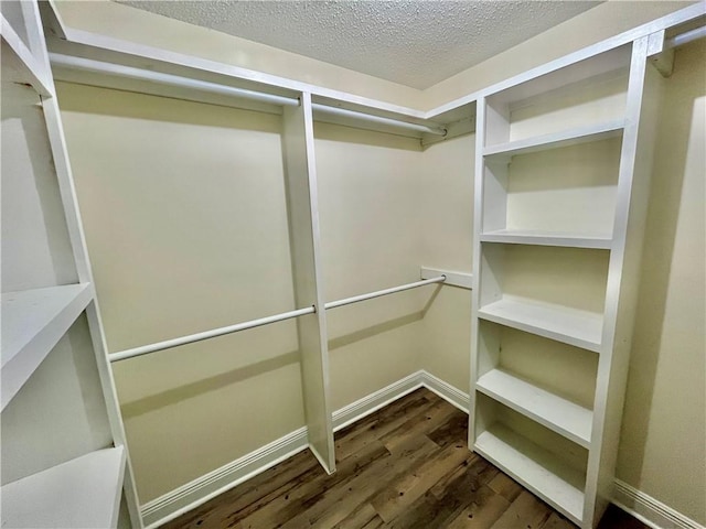 walk in closet with dark wood finished floors