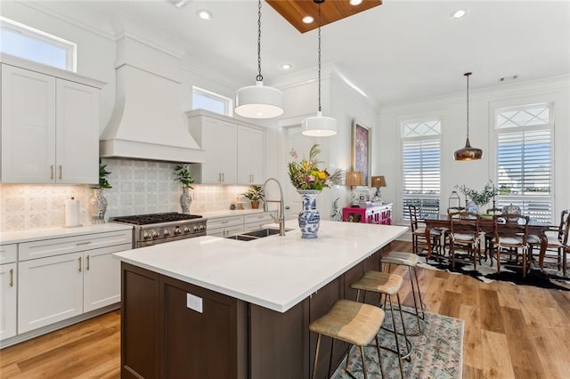 kitchen with an island with sink, crown molding, stainless steel stove, premium range hood, and a sink