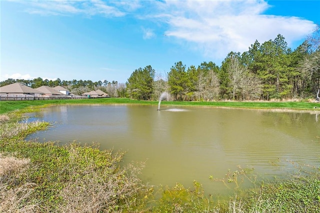 property view of water