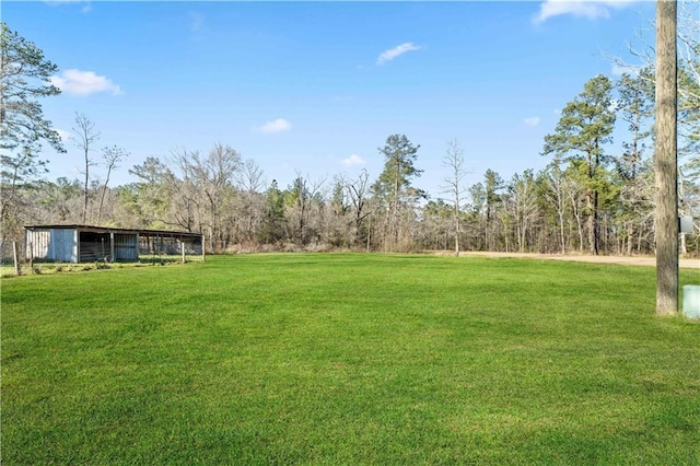 view of yard featuring an outbuilding