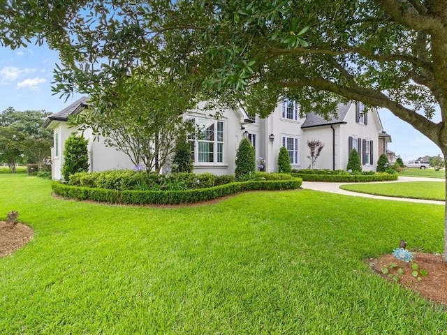 view of property hidden behind natural elements with a front lawn and stucco siding