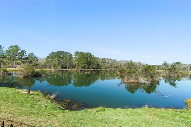18239 Mckay Ln, Franklinton, LA 70438 - photo 49