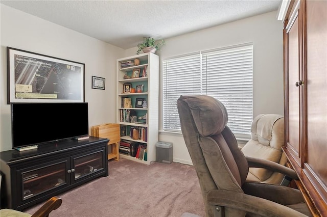 carpeted office with a textured ceiling