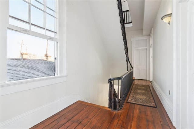 hallway featuring wood-type flooring