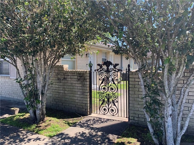 view of gate with a fenced front yard