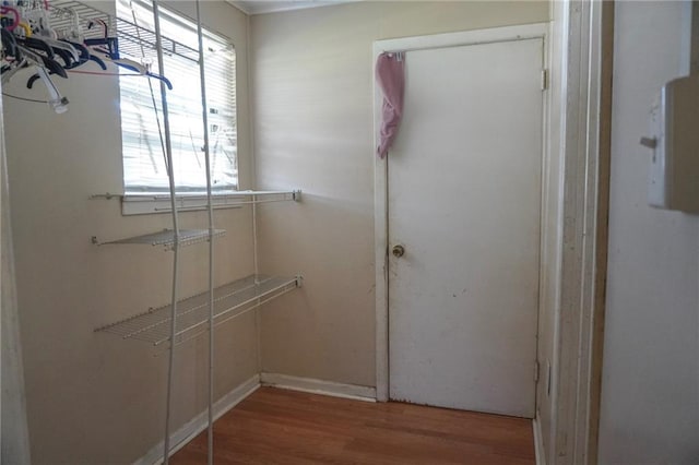 spacious closet featuring wood finished floors