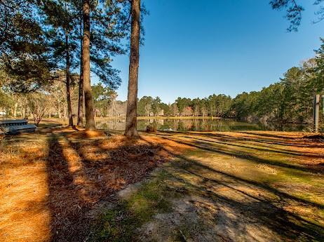 view of yard featuring a forest view