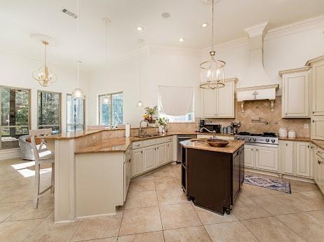 kitchen featuring tasteful backsplash, a sink, appliances with stainless steel finishes, and crown molding