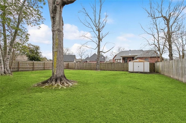 view of yard with an outbuilding, a fenced backyard, and a storage unit