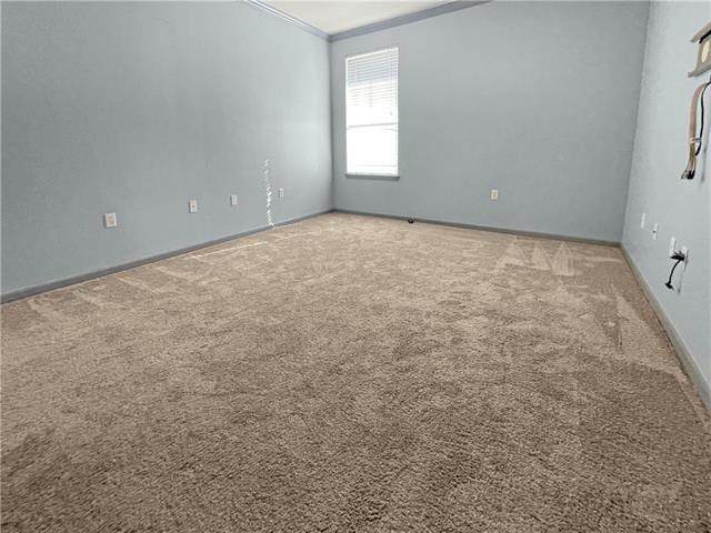 empty room featuring crown molding and carpet flooring