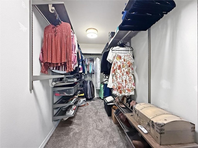 walk in closet featuring carpet flooring