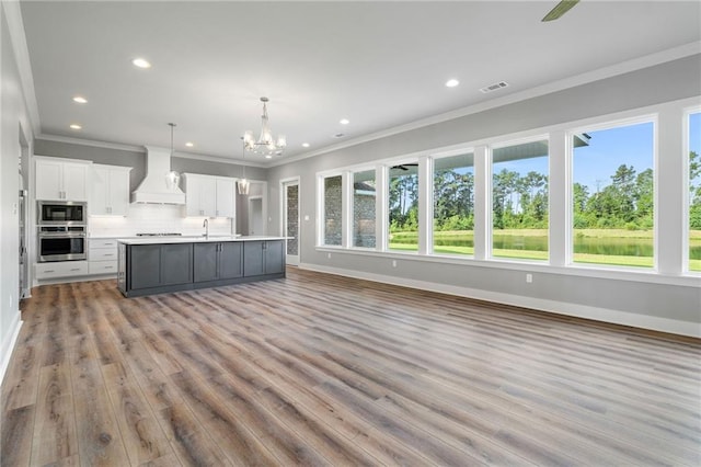 kitchen featuring white cabinets, appliances with stainless steel finishes, open floor plan, custom exhaust hood, and a sink