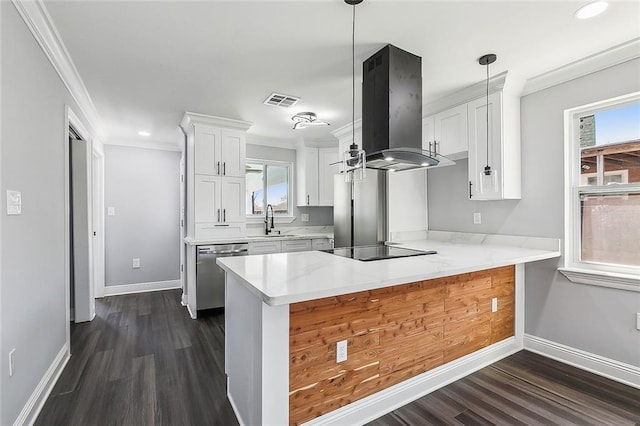 kitchen with stainless steel appliances, a peninsula, a sink, white cabinetry, and island exhaust hood