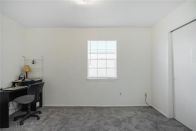 office space featuring carpet and baseboards