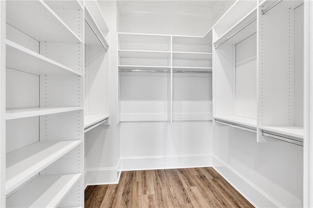 spacious closet featuring wood finished floors