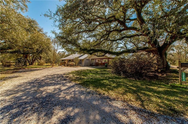 view of front of house with gravel driveway and a front lawn