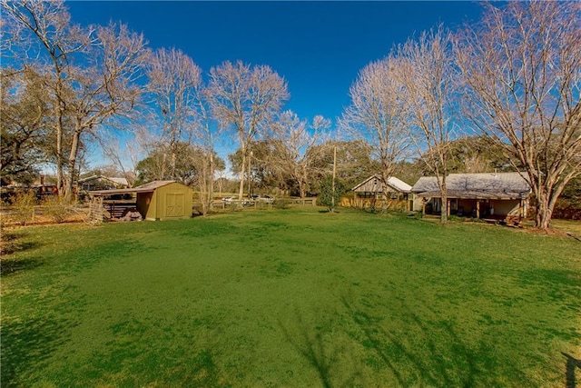 view of yard with an outdoor structure and a storage shed