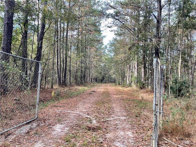 37285 Dummyline Rd, Pearl River, LA 70452 - photo 2