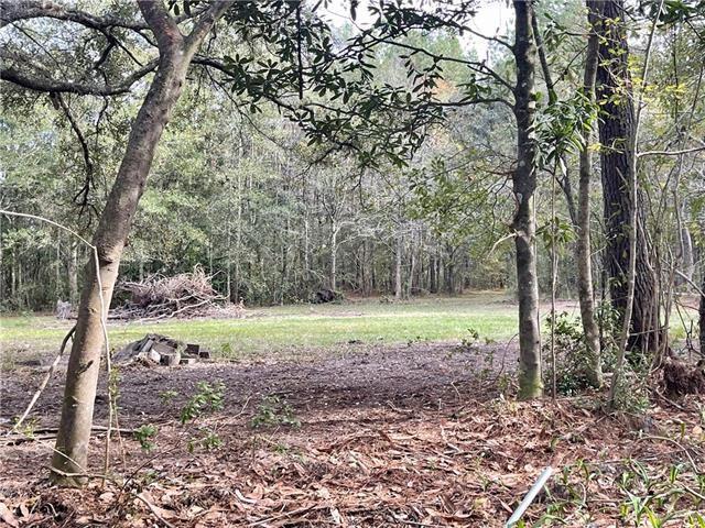 37285 Dummyline Rd, Pearl River, LA 70452 - photo 3