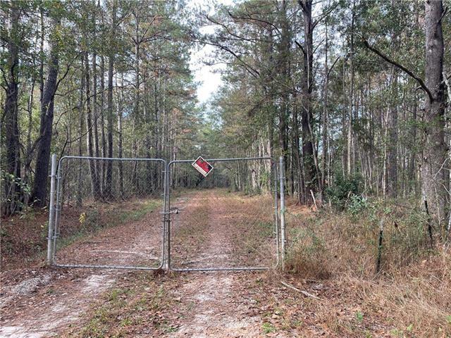 37285 Dummyline Rd, Pearl River, LA 70452 - photo 4