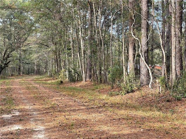 37285 Dummyline Rd, Pearl River, LA 70452 - photo 5
