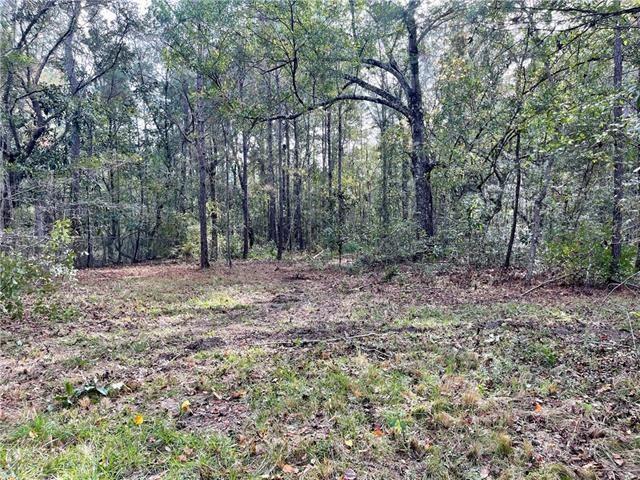 37285 Dummyline Rd, Pearl River, LA 70452 - photo 12