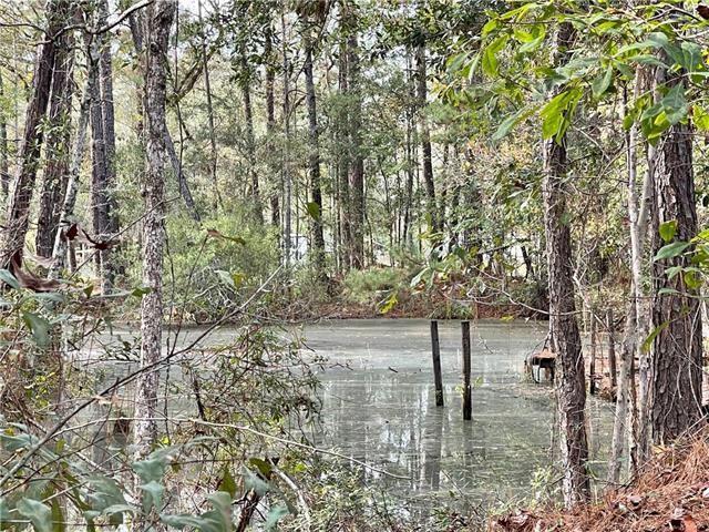 37285 Dummyline Rd, Pearl River, LA 70452 - photo 14