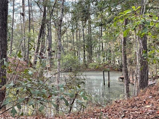 37285 Dummyline Rd, Pearl River, LA 70452 - photo 15
