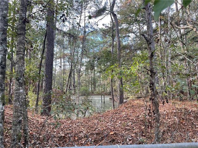 37285 Dummyline Rd, Pearl River, LA 70452 - photo 16