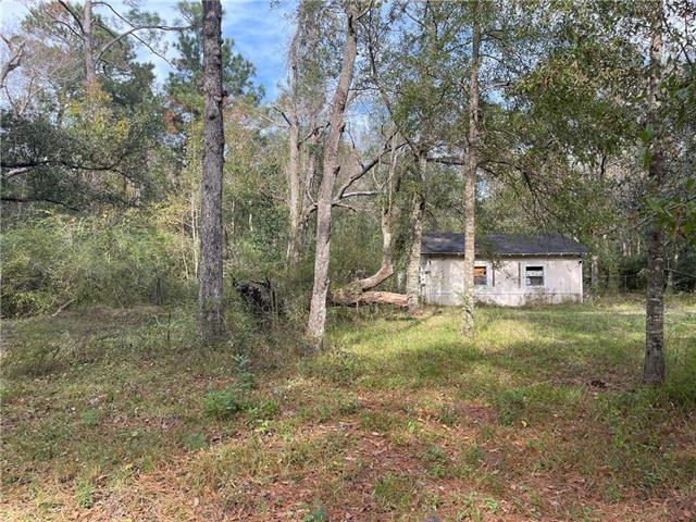 37285 Dummyline Rd, Pearl River, LA 70452 - photo 17