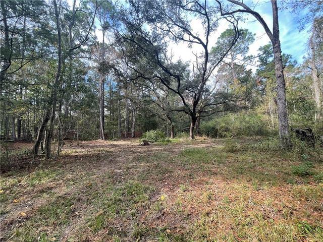 37285 Dummyline Rd, Pearl River, LA 70452 - photo 18