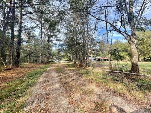 37285 Dummyline Rd, Pearl River, LA 70452 - photo 25