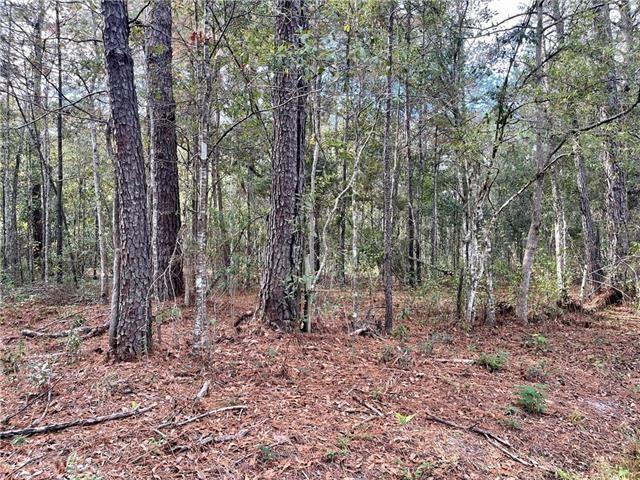 37285 Dummyline Rd, Pearl River, LA 70452 - photo 26