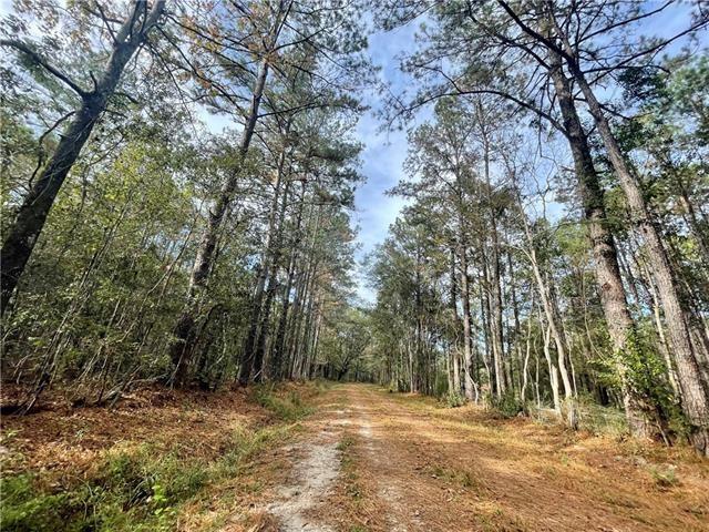37285 Dummyline Rd, Pearl River, LA 70452 - photo 27