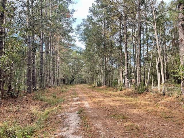 37285 Dummyline Rd, Pearl River, LA 70452 - photo 32