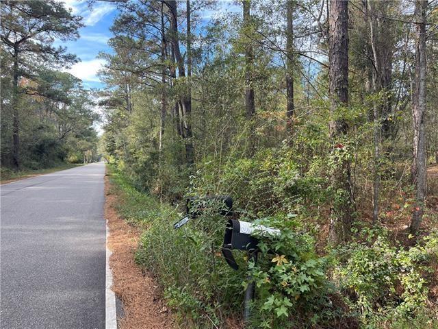 37285 Dummyline Rd, Pearl River, LA 70452 - photo 34