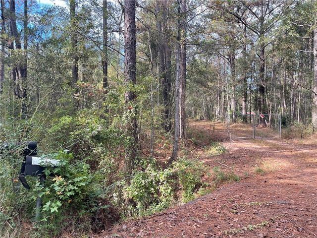 37285 Dummyline Rd, Pearl River, LA 70452 - photo 35