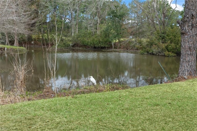 property view of water