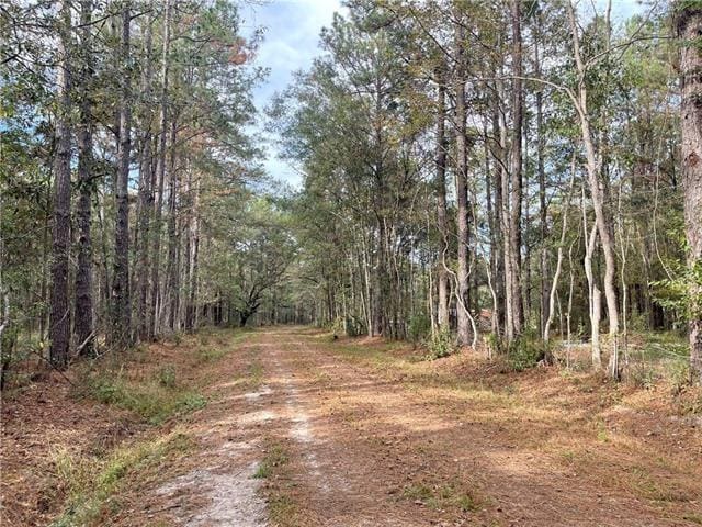 37285 Dummyline Rd, Pearl River LA, 70452 land for sale