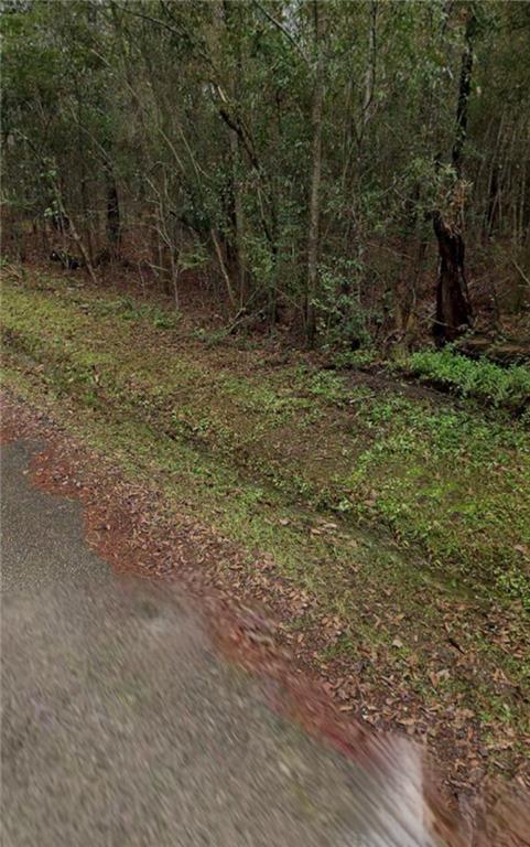 12034 Naylor Rd, Folsom, LA 70437 - photo 4