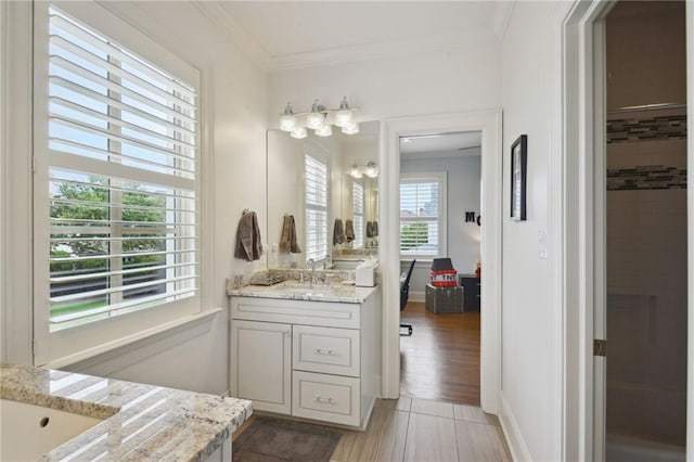 bathroom featuring vanity, wood finished floors, and crown molding