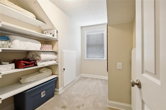 walk in closet with light colored carpet