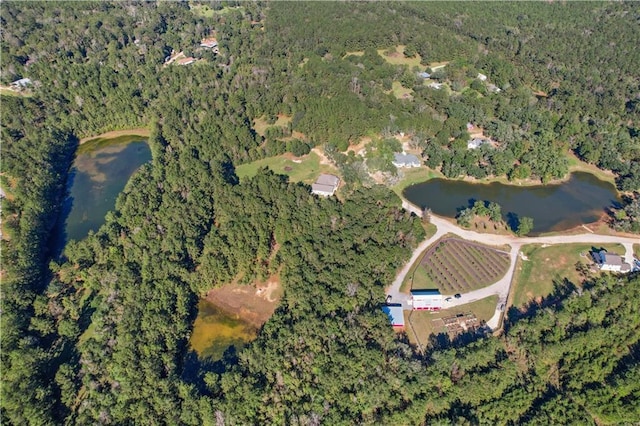 23648 Goodlife Ln, Covington, LA 70435 - aerial overview of property's location featuring a large body of water and a forest
