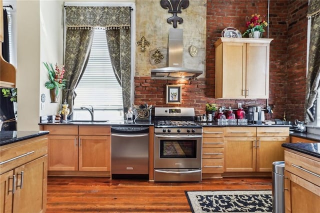 kitchen featuring a sink, appliances with stainless steel finishes, dark wood-style floors, and wall chimney exhaust hood