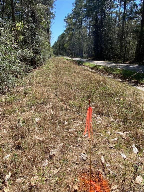 Robinson Rd, Folsom, LA 70437