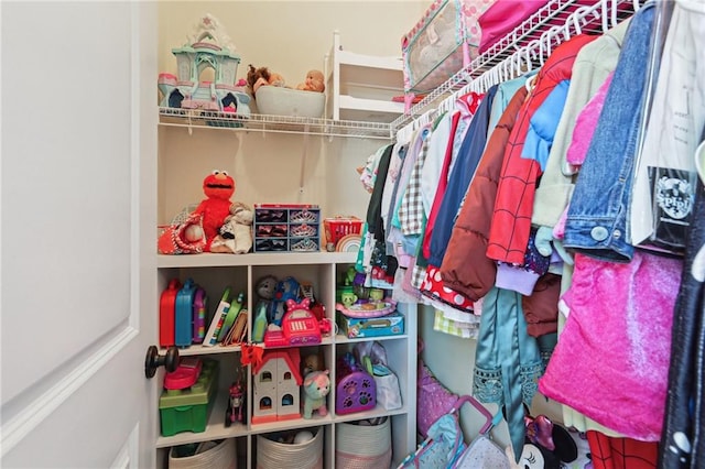 view of spacious closet