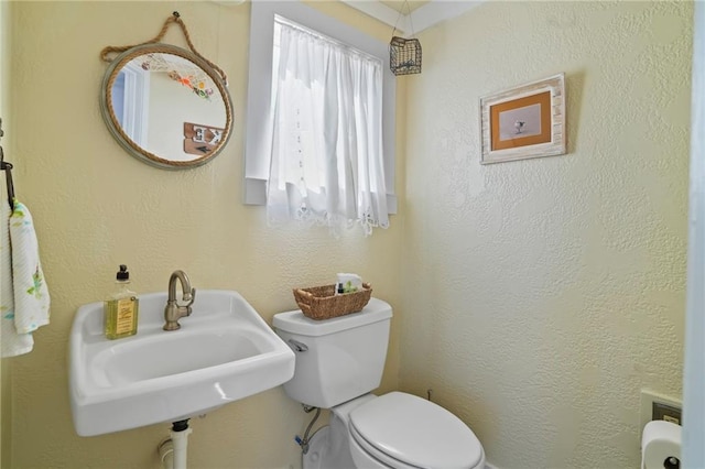 bathroom with a textured wall, a sink, and toilet