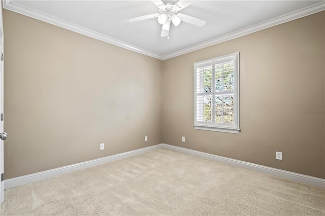 empty room with a ceiling fan, carpet, baseboards, and crown molding